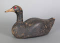 Wisconsin coot decoy early 20th c