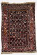 Shirvan Prayer Rug