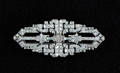 Platinum and diamond brooch clip combination