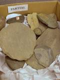 Large Group of Assorted Stone Implements and Artifacts