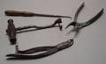 Group of Dental and Surgical Instruments