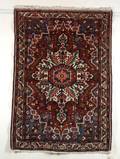 Bahktiari Rug
