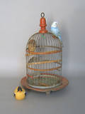 Tin birdcage