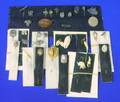 Nineteen Mostly Gold and Sterling Silver Shell or Bone Mounted Stickpins and Thirteen Silver Stickpins