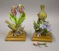 Pair of Royal Worcester Porcelain Oven Birds