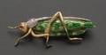 18kt Gold Enamel and Diamond Melee Grasshopper Pin