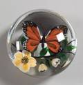 Rick Ayotte Butterfly Glass Paperweight