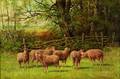 Edward E Burrill American 18351913 Sheep and Ram in a Pasture