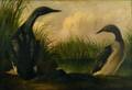 After John James Audubon American 1785  1851 Black Throated Diver