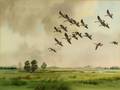 Robert W Milliken British b 1920 Canada Geese in Dropping Flight