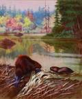 Walter Alois Weber American 18651905 Lot of Two Works Beavers at Work
