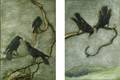 Maud Earl BritishAmerican 18641943 Pair of Images Birds Perched on Winter Branches