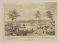 Lewis  Brown publishers New York 19th Century VIEW OF ALBANY NY From the East