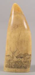 Engraved Whales Tooth
