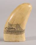 Engraved Whales Tooth