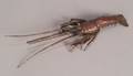 Repousse Copper Crayfish