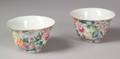 Pair of Porcelain Cups