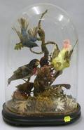 Victorian Glass Domed ThreeBird Diorama