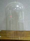 Large Glass Dome