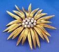 18kt Gold and Diamond Spray Brooch