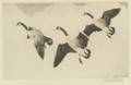 Richard Everett Bishop American 18871975 Three Canada Geese