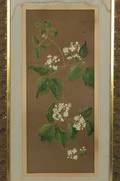 Attributed to Ellen Robbins American 18281905 Wild Berry Blossoms and Vine