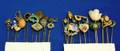 Group of Twentysix Stickpins