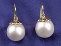 18kt Gold and South Sea Pearl Earpendants