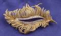 18kt Gold and Diamond Feather Pin