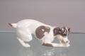 Royal Copenhagen Porcelain Dog Chewing a Bone