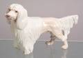 Royal Copenhagen Porcelain Poodle