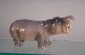 Royal Copenhagen Porcelain Pigmy Hippopotamus