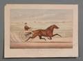Currier  Ives publishers American 18571907 Mr Bonners Horse Joe Elliot Driven By J Bowen
