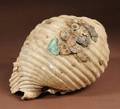 PreColumbian Shell Trumpet