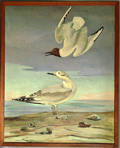 Oil on canvas coastal scene with seagulls