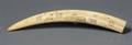 Eskimo Scrimshaw Walrus Tusk Cribbage Board