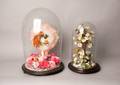 Two Victorian glass domes and bases