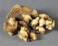 Ivory Netsuke