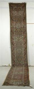 Northwest Persian Runner