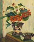 Alfred S Mira American 190019801 Potted Poinsettia