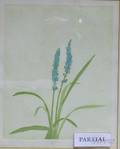 Lot of Two Botanical Prints