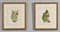 Six Framed Hand Colored Botanical Bookplates