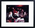 Ramones signed photograph