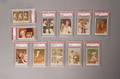 Eleven Fleer 1959 Ted Williams baseball cards