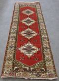 Anatolian Runner
