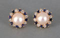 14K yellow gold pearl diamond and blue sapphire earrings