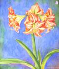 Helen Alden Woodworth American 20th Century Peppermint Amaryllis