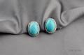 18kt White Gold Turquoise and Diamond Earclips