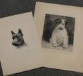 Curt MeyerEberhardt German 18951957 Lot of Two Unmatted Dog Etchings