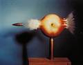 Harold Eugene Edgerton American 19031990 Shooting the Apple